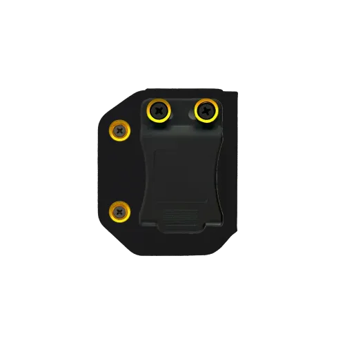 Custom Holsters