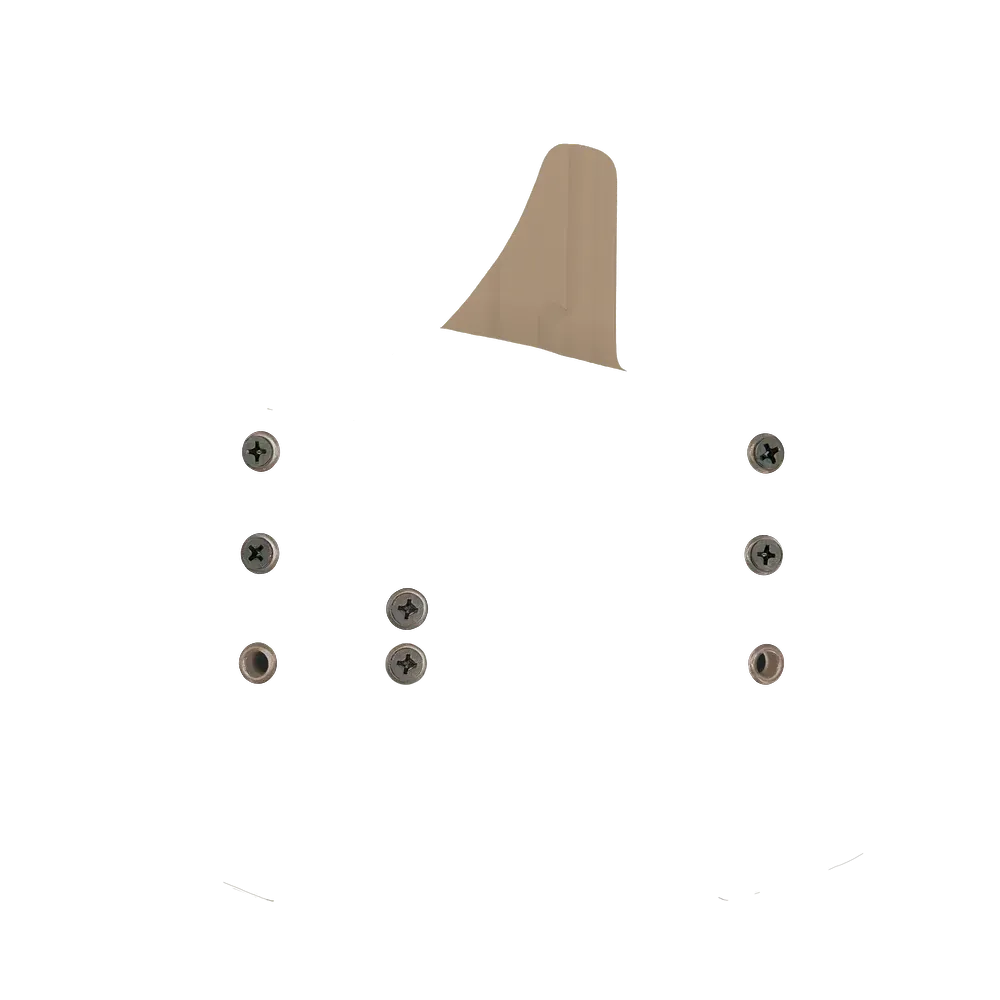 Custom Holsters